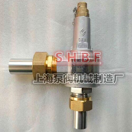 张家港富瑞低温安全阀DAH-25 DA22Y-40P液氮液氧安全阀DN10 15 25