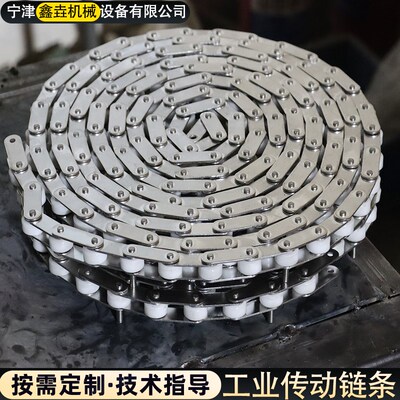 C2062尼龙滚珠链38.1节距不锈钢双节距输送链工业传动提升机链条