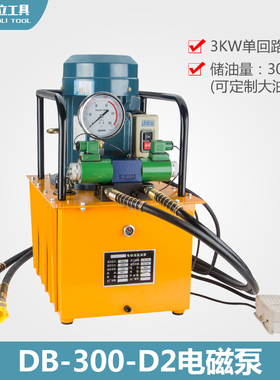 DB300-D2 3KW双回路油压机双向大功率液压电动泵 超高压脚踏泵