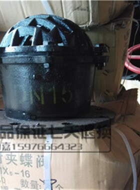 H42X铸铁法兰底阀水泵法兰底阀/抽水泵止回阀花篮球形阀DN4050 65