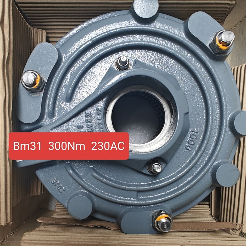BM31HF  300NM  230AC现货价格美丽咨询下单议价