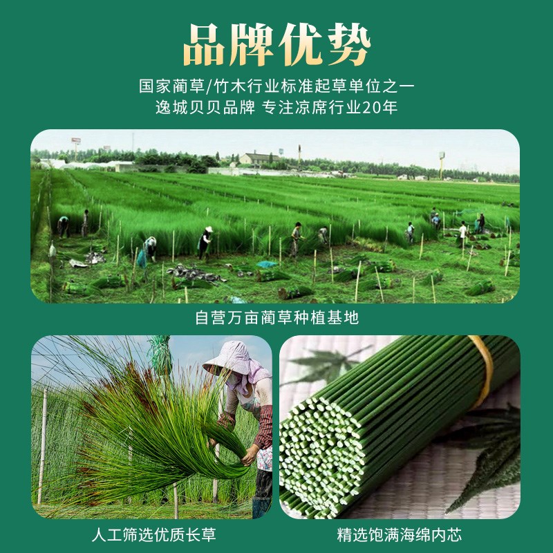大人草席凉席加厚折叠0.8m1.2mA双人床学生宿舍1.5m1.8m大床席子