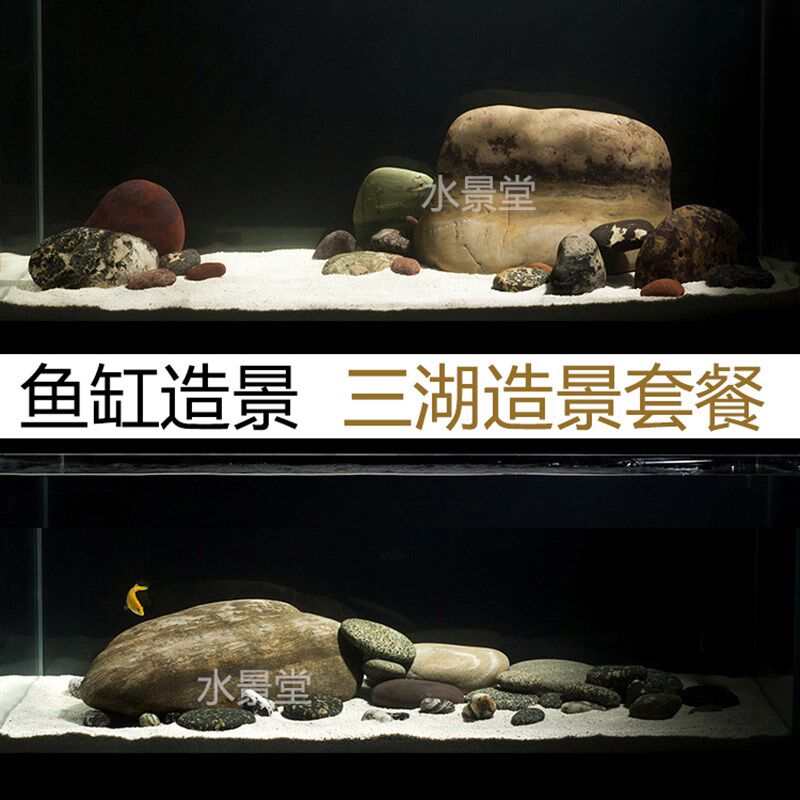鹅卵石三湖慈鲷鱼缸造景装饰品套餐草坪石子水草W鱼缸装饰桌面