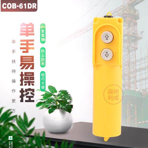COB-61R行车开关P-2电葫