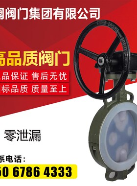 D371F46-16C铸碳钢涡轮对夹全衬四氟蝶阀化工耐酸碱防腐蚀DN10050