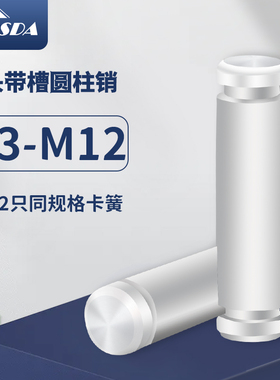 304不锈钢双头带槽圆柱销 定位销 销钉 附赠2只卡簧挡圈M3-M12