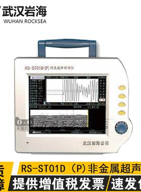 武汉沿海RS-ST01D（P）跨空超音波检测仪非金属超声波检测仪