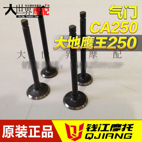 原厂摩托车大地鹰王DD250EDD250G/嘉陵JH250 CBT125 CA250气门