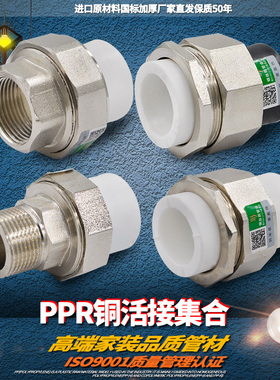 PPR外丝外牙内丝铜活接双头PPR转PE铜活接转换活接水管管件配件