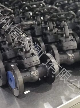 A105锻钢法兰高压高温闸阀JZ41H-16/40/64/100C DN15-50 4分-2寸