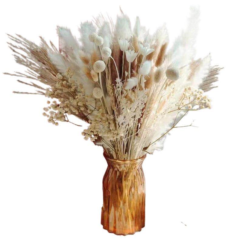 芦苇套装蒲苇草小芦苇干花兔尾草小拂尘装饰摆件客厅花束组合