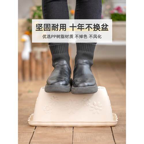 爱丽思大口径花盆 FLOWL长方形多肉花盆 塑料 爱丽丝吊兰小花盆