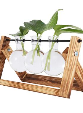 创意木架水培植物玻璃花瓶水养绿萝花盆容器透明桌面摆件插花瓶
