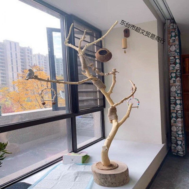 干树枝原木杈天然干枝枯枝枯木树干鸟架造型壁挂衣架吊顶树枝装饰