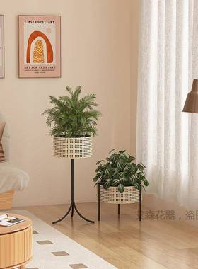 temu花仿厅藤编架现代轻奢日室式客阳台CTR内铁艺落地绿植花盆架