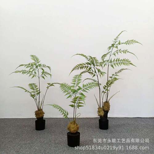 林仿真猴室头蕨金毛狗蕨假树内中式园系庭院造景装饰植物YN-56绿