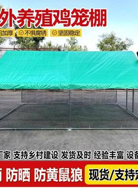 户外笼鸡棚特大号家禽养大ISP鸡鸡鸽笼搭建家用养孔雀防雨鸡舍殖