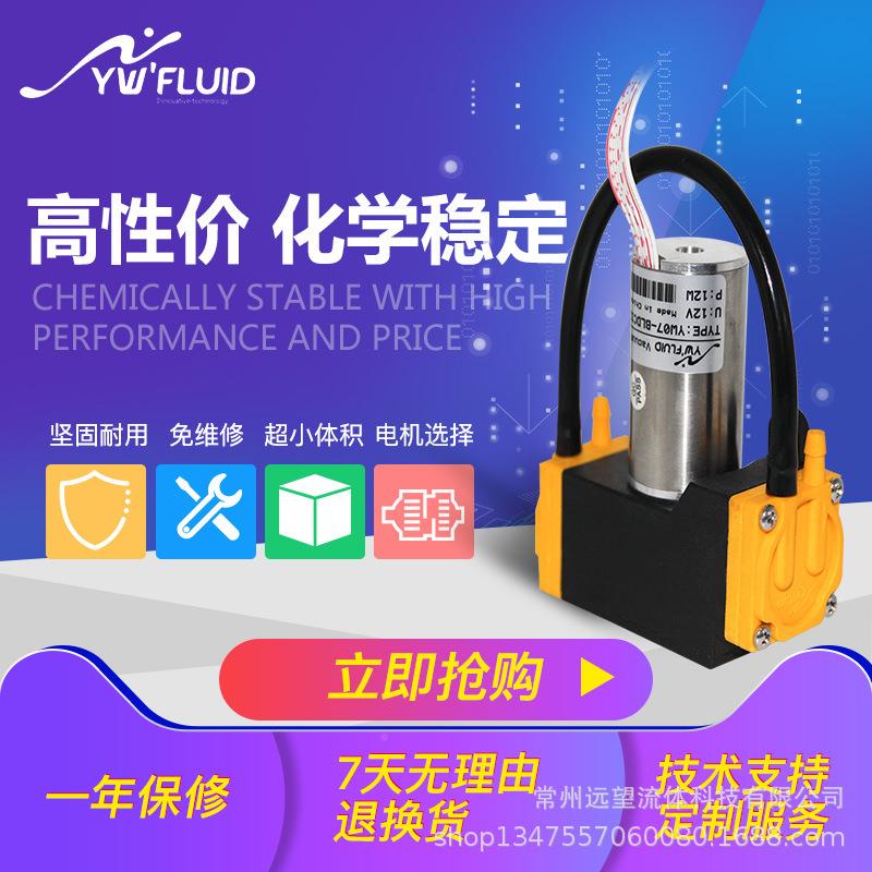 微型真ZCW泵小泵24V气泵隔膜大泵型12V气采样化工自吸空泵YW07