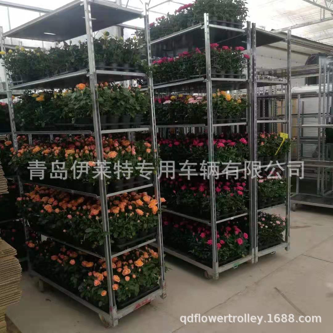 厂家直销有机蔬菜育苗车不生锈