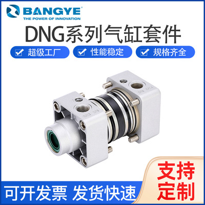 BANGYEISO15552标准DNG系列