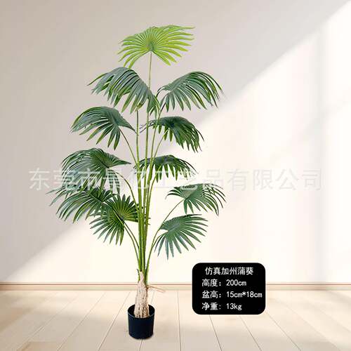 仿树真热带加州蒲仿葵真绿植盆栽客落地圆叶厅LL-114扇葵绿植摆件