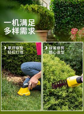 德修国花园锂电家用FEA灌木草坪修两用电枝动割草机绿篱机剪其他