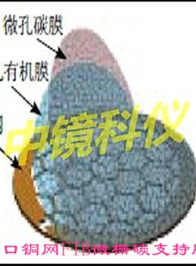 中镜科仪200至300目进口铜网FIB微栅碳支持膜 TEM载网支持膜