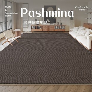 地毯客厅纯色仿i剑麻高级感地垫家用大面积全铺防水免洗可擦床边
