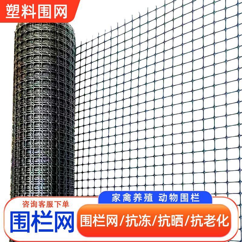 土工格栅养鸡鸭围栏鱼塘果园河道大棚菜园围网漏S粪黑色养殖塑料