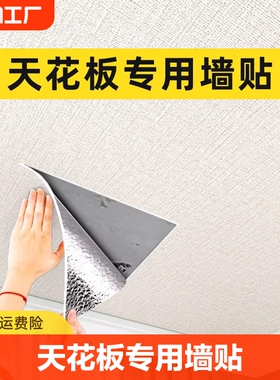 天花板贴纸自粘屋m顶吊顶装饰遮丑自装墙纸房顶隔音客厅墙贴纸防