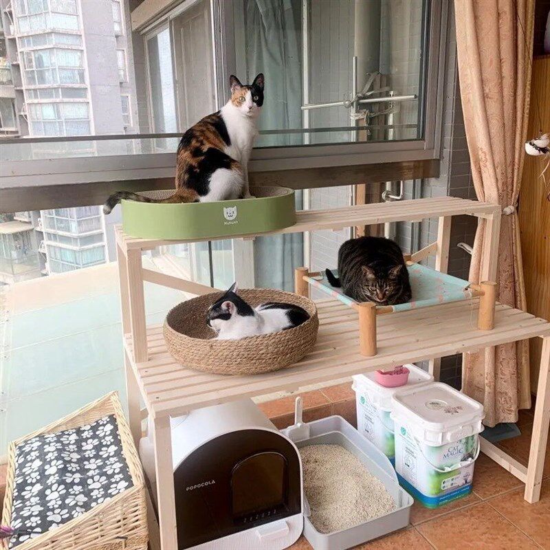 实木猫砂盆置物架子猫爬架一体y柜子猫窝上方花架多层宠物用品收