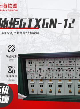 绝缘固-体箱GTXN-12绝成套柜高压G固体全缘环网开关柜