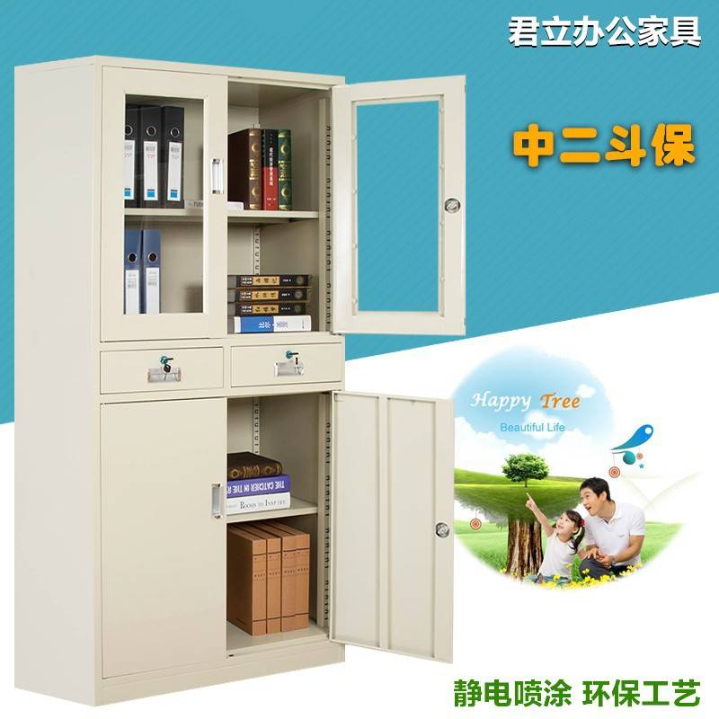 文件柜铁皮柜器械柜办公柜档案资料柜财务凭证柜办公室收纳书柜子