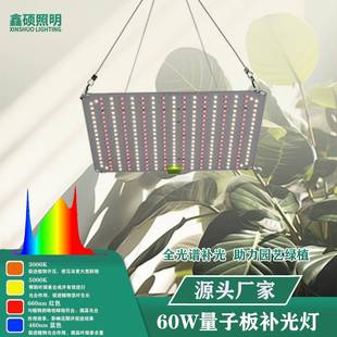 灯?LED植灯60W室内植大棚温物室补光植物育苗种光照量子板KKB生长