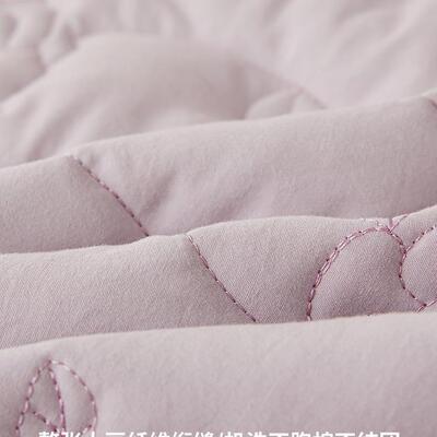 A棉类全带床裙单件加厚夹棉公主风纯水洗棉防滑F9769SMM床罩边裙