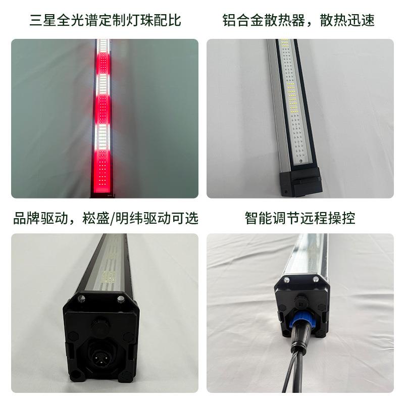L莓EDTNP株间灯全灯谱植物生长树蓝莓补光灯小功率多肉光生长灯