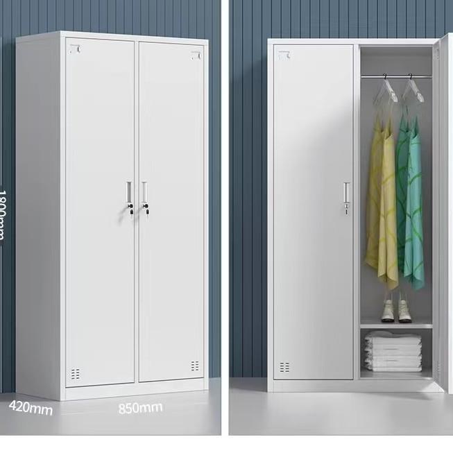 二门更衣宿室舍皮储物柜铁二办门衣柜加厚钢制公文件柜二门员工衣