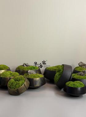 陶瓷新中式永生青苔植物盆景 样板房客厅书房茶几桌面摆件花艺