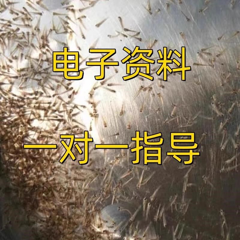 本地泥鳅水花苗 土泥鳅 稻田养殖 钻泥X 好养 野外