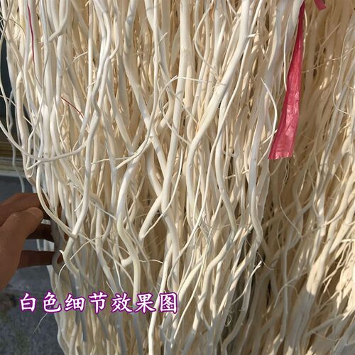 龙柳 龙柳干枝j假树枝装饰白色干花龙桑装饰隔断橱窗装饰天然树枝