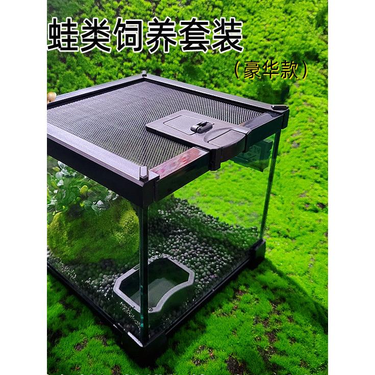 角蛙饲养箱套装两栖蛙类繁殖箱爬宠雨林缸苔藓造景树蛙蝾螈乌龟箱