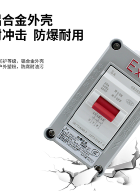 防爆断路器三相防爆空气开20A220V380V防爆防水防尘BPZ30-20/2K3K