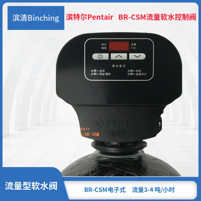 美国PENTAIR 滨特尔 滨润BR-CSM 电子流量型 滨特尔水处理控制阀