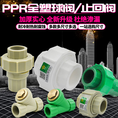PPR全塑活接活接头过滤器止回阀活接转换接头PPR水管管件配件直销