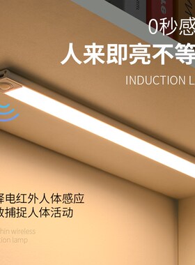 曲江人体感应灯 三色变光磁吸充电式灯带led衣柜橱柜酒柜氛围灯