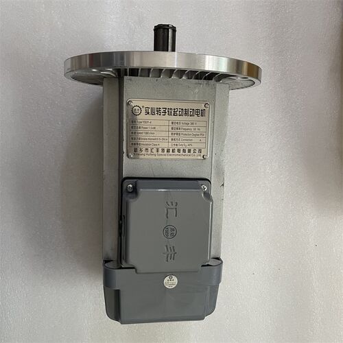 新乡汇丰特种电机易动YSEP-4 0.8KW1.5KW2.2KW3.0KW实心转子电机