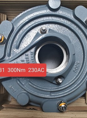 BM31HF  300NM  230AC现货价格美丽咨询下单议价