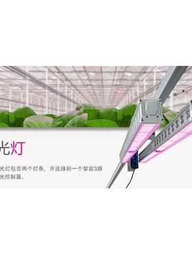 le大棚全光d660nm植物灯补光灯t生o谱plight顶光灯植物长双飞燕顶