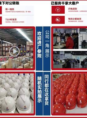 2梅安10AL5577231672安2V-Gard500ABS豪华型白色带思透气孔超爱戴