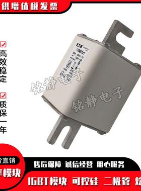 10M5188170M589170M510巴斯曼170MJSL95191熔断器现货型1号齐7全